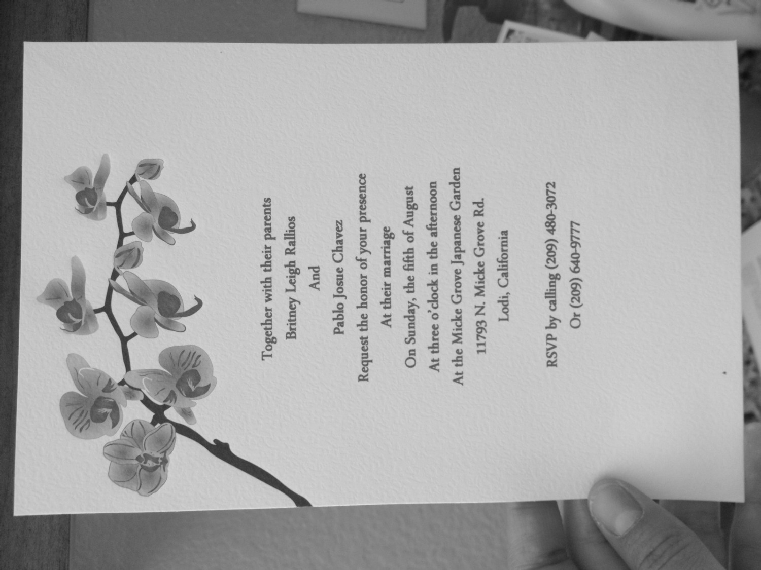 Help!! Font sample to identify the typeface on WhatFontIs