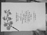 Help!! Font sample uploaded by Ines2628 to identify the typeface on WhatFontIs