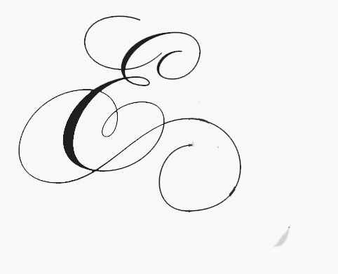 Beautiful E script Font sample to identify the typeface on WhatFontIs