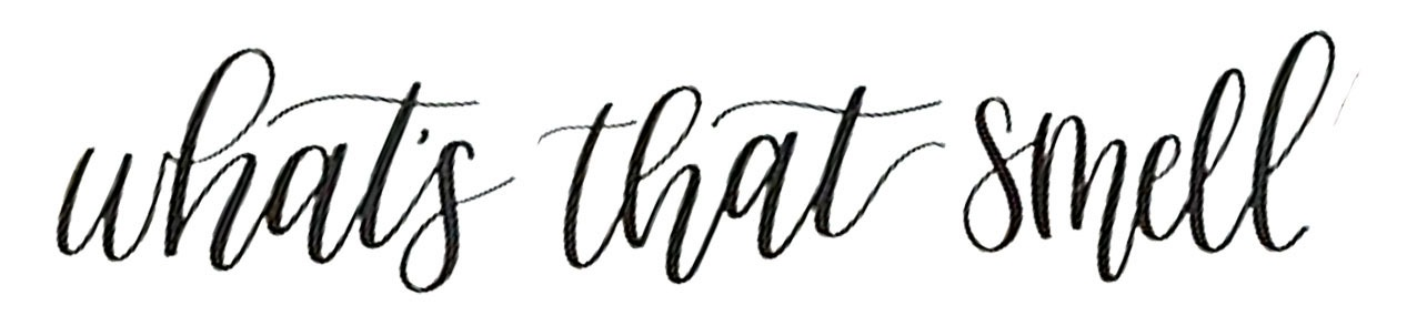 Whats that smell Script Font sample to identify the typeface on WhatFontIs