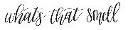 Whats that smell Script Font sample uploaded by shutterbug2637 to identify the typeface on WhatFontIs
