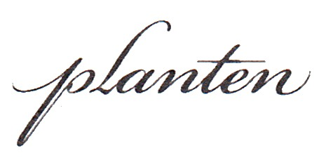 planten Font sample to identify the typeface on WhatFontIs