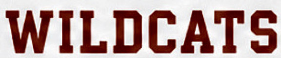 WILDCATS Font sample to identify the typeface on WhatFontIs