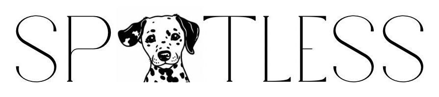 SPTLESS Font sample to identify the typeface on WhatFontIs