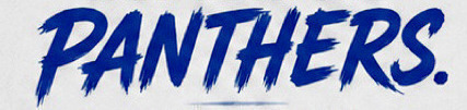PANTHERS Font sample to identify the typeface on WhatFontIs