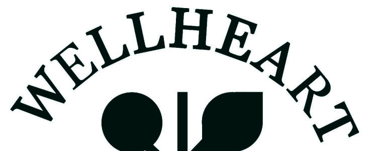 WELLHELTH Font sample to identify the typeface on WhatFontIs
