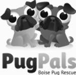 Trying to identify logo font Font sample uploaded by TinaMB to identify the typeface on WhatFontIs