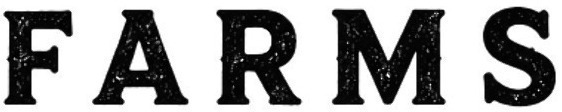 Recognize the font?