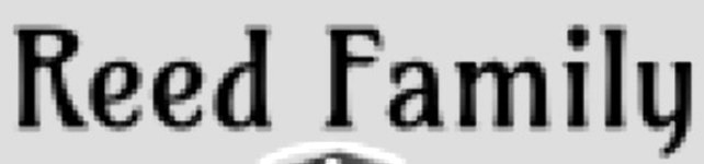 Need help finding font to recreate vector logo! Font sample to identify the typeface on WhatFontIs