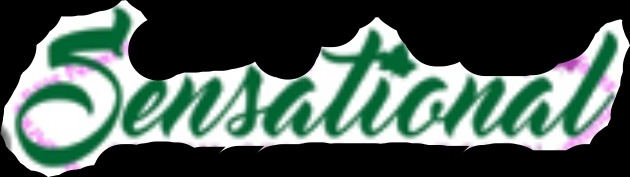 Sensational Font? Font sample to identify the typeface on WhatFontIs