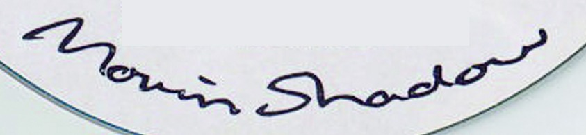 Movin Shadow Font sample to identify the typeface on WhatFontIs