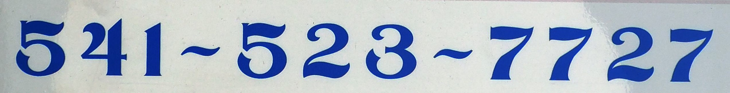Phone Number Font Font sample to identify the typeface on WhatFontIs