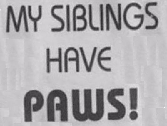 My siblings Font sample to identify the typeface on WhatFontIs