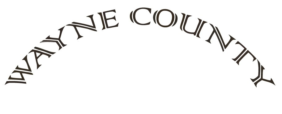 FONT Font sample to identify the typeface on WhatFontIs