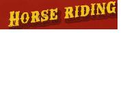 No able to match font Font sample uploaded by bpoint to identify the typeface on WhatFontIs