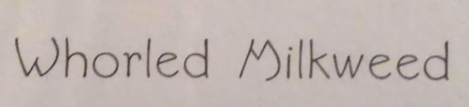 Looking to identify this font Font sample to identify the typeface on WhatFontIs