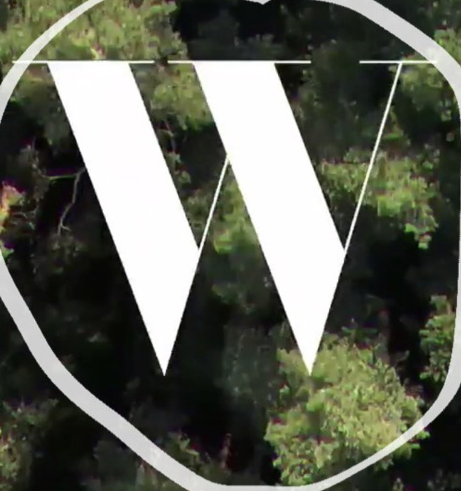 Help Font sample to identify the typeface on WhatFontIs