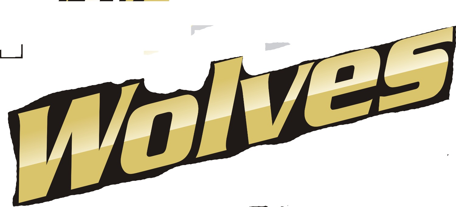 Cant find font Font sample to identify the typeface on WhatFontIs