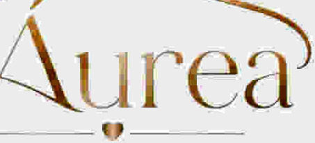 Find font  Font sample to identify the typeface on WhatFontIs