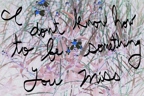 what is this font? Font sample to identify the typeface on WhatFontIs