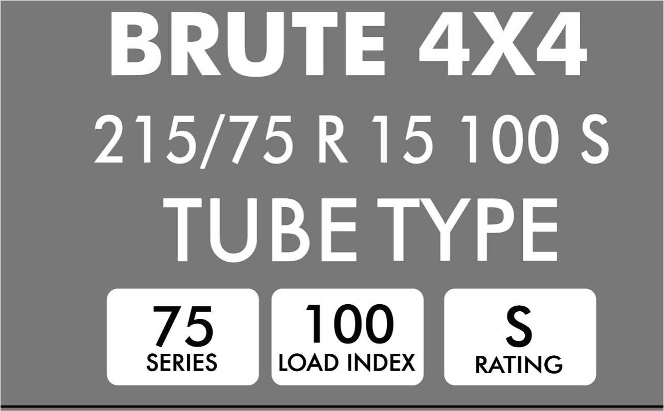 brute Font sample to identify the typeface on WhatFontIs