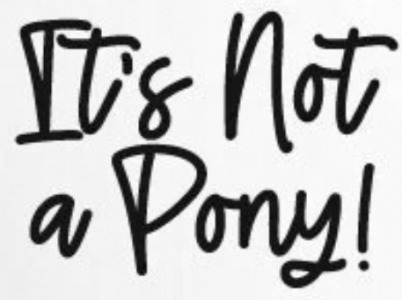 It's Not a Pony