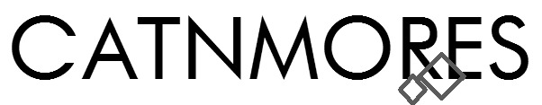 CATNMORES Font sample to identify the typeface on WhatFontIs