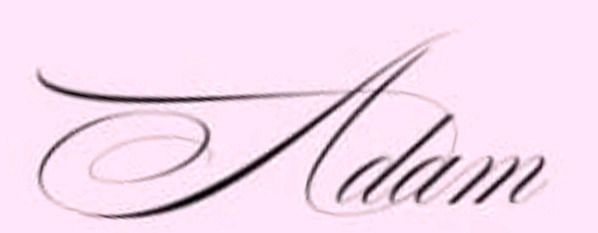 Adam Font sample to identify the typeface on WhatFontIs