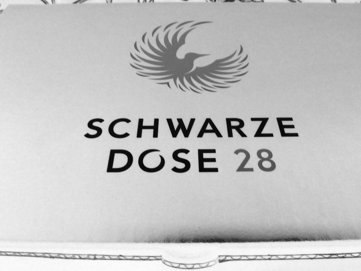 Calidris28 Font sample to identify the typeface on WhatFontIs