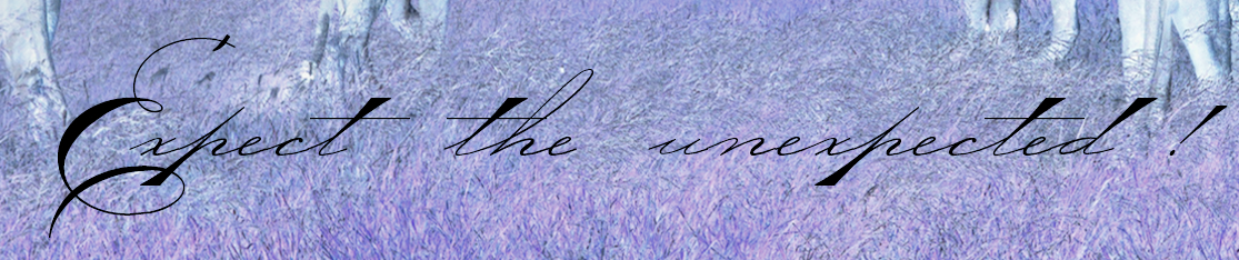 what font? Font sample to identify the typeface on WhatFontIs