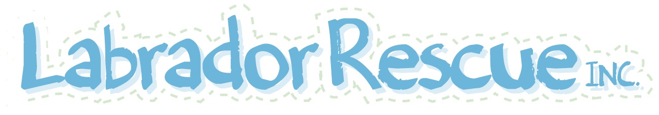 What font is this in the Blue? Font sample to identify the typeface on WhatFontIs