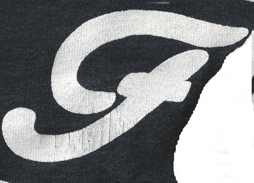 This F is from the word Florida Font sample to identify the typeface on WhatFontIs