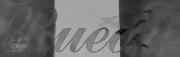 forumPostPreview