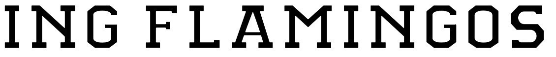 ING FLAMINGOS Font sample to identify the typeface on WhatFontIs