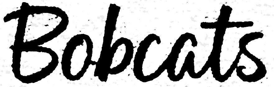 does this font look familiar? Font sample to identify the typeface on WhatFontIs