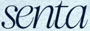 Fonte Font sample to identify the typeface on WhatFontIs
