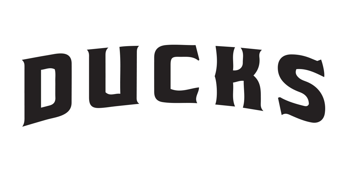 Sports team needs font identified! Font sample to identify the typeface on WhatFontIs