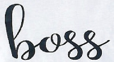 handwritten brush font