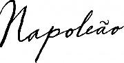 Napoleon logo font