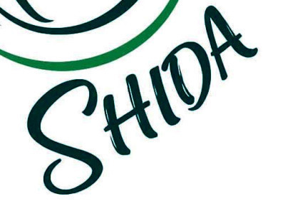shida shida Font sample to identify the typeface on WhatFontIs