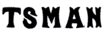 TSMAN Font sample to identify the typeface on WhatFontIs