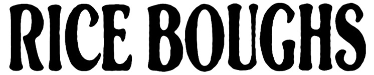 Ace 1960s Paperback cover font Font sample to identify the typeface on WhatFontIs