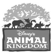 what font is ANIMAL and KINGDOM