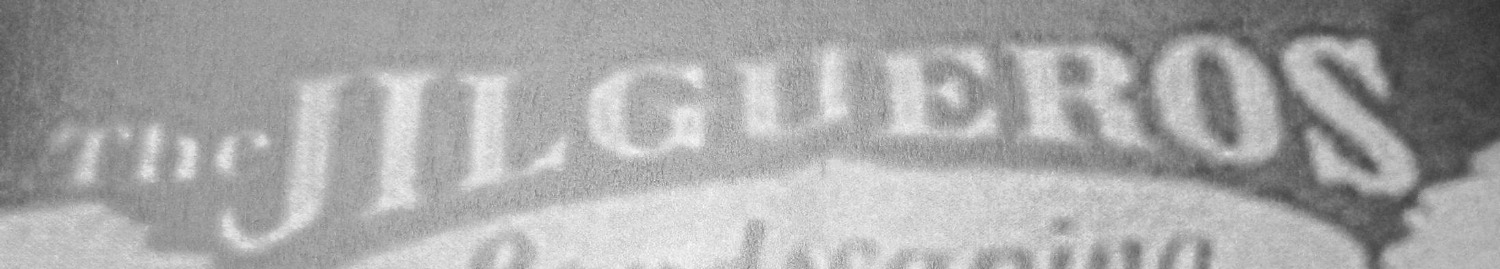 Don't know what font it is Font sample to identify the typeface on WhatFontIs