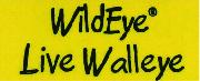WildEye font name Font sample uploaded by skylee to identify the typeface on WhatFontIs