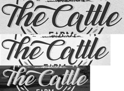 The Cattle