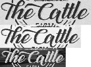 The Cattle