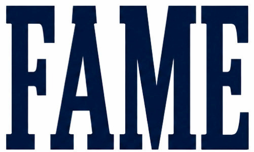 FAME FONT Font sample to identify the typeface on WhatFontIs