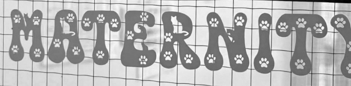 Font/monogram id please Font sample to identify the typeface on WhatFontIs