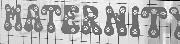 Font/monogram id please Font sample uploaded by shayneb1 to identify the typeface on WhatFontIs
